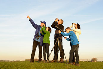 Birdwatch Birdwatch